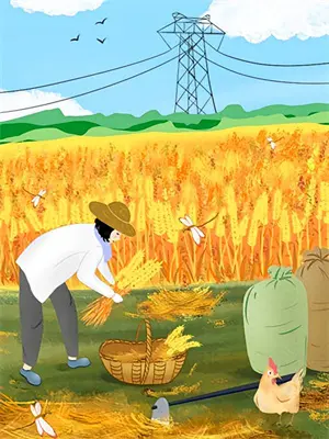 重生杀疯：踹渣撕莲后大佬求婚林微苏晓晓免费完结版小说_小说完结重生杀疯：踹渣撕莲后大佬求婚林微苏晓晓